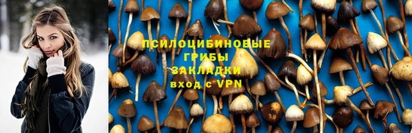 a pvp Арсеньев